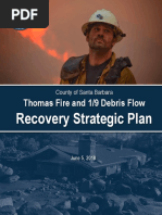 Santa Barbara County Recovery Strategic Plan