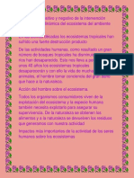 Aspectos Positivos y Negativos Del Medio Ambiente II BASICO PDF