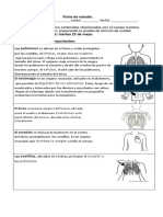 Ficha de Estudio de Ciencias Naturales