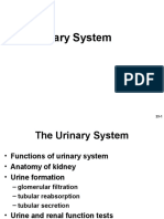 Urinarysystem 160122220350