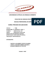 Proceso de Ejecucion de Resoluciones Judiciales