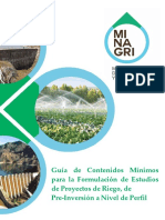 Guia de Contenidos Minimos para La Formulacion de Perfil PDF