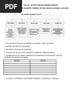 1 Periodo 1 Taller 1 Mitosis Meiosis Espermatogenesis y Ovogenesis