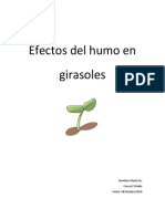 Proyecto de Investigación, "Efecto Del Humo en Girasoles"