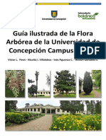 Guia Ilustrada de La Flora Arborea de La Udec Chillan