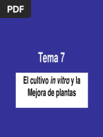 TEMA 7 - El Cultivo in Vitro y La Mejora de Plantas PDF