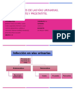 Infecciones de Las Vías Urinarias, Pielonefritis y Prostatitis