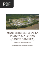 Mantenimiento de La Planta Malvinas