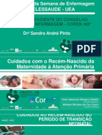 Cuidados Com o Recém-Nascido Da Maternidade À Atenção Primária