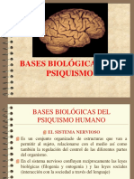 Bases Biolódgicas de Los Procesos Psíquicos