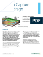 Carbon Capture and Storage