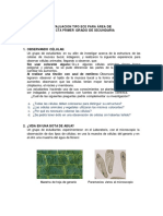 Evaluacion Tipo Ece para Área de Cta Primer Grado de Secundaria 1