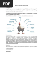 Manual Pollos de Engorde