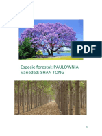 Cualidades de Paulownia