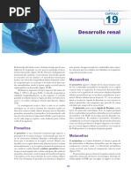 Desarrollo Renal