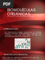 BIOMOLÉCULAS