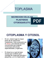 Cito Plasma