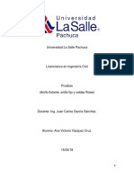 Pruebas de Consolidación (Anillo Flotante, Fijo y Celdas Rowe)