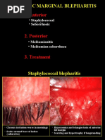 02chronic Marginal Blepharitis