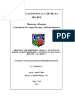 Modelo de Negocio Birdwatchign en El Peru PDF