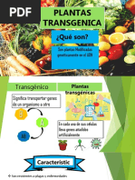 PLANTAS-TRANSGENICAS (Autoguardado) (Autoguardado)