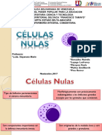 Sistema Hematopoyetico Presentacion