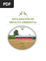 Declaracion de Impacto Ambiental