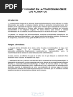 Levaduras y Hongos en La Trasformación de Los Alimentos