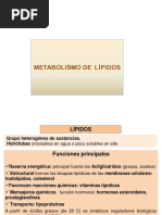 Metabolismo de Lipidos