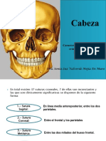 Cabeza Huesos