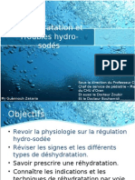 DSH Et Tble Hydro Sodés