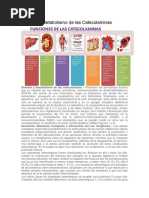 Síntesis y Metabolismo de Las Catecolaminas