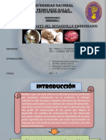 Seminario I Bases Moleculares Del Desarrollo Embrionario 2016