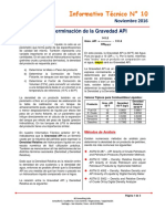 InformativoTecnico N10 Gravedad API