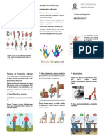 Triptico Articulaciones