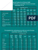 Viticultura 3 Situatia Actuala A Viticulturii