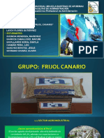 Frijol Canario - Exposicion Final