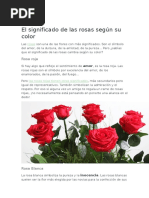 El Significado de Las Rosas Según Su Color