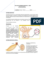 Taller Biologia - Eva Manuela Ramírez