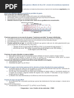 Fisiología de La Transmisión Colinérgica y Adrenérgica