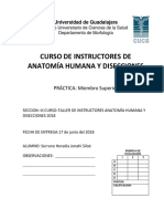 Guía de Disección - Miembro Superior