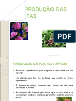 01 Rep Plantas 1