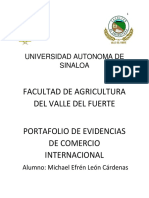 Portafolio Comercio Internacional