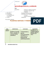 Plantas Nativas y Foràneas