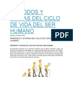 Periodos y Etapas Del Ciclo de Vida Del Ser Humano