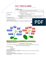El Artículo y Sus Clases