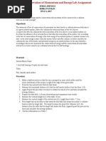 00 Conservation of Momentum and Energy Lab Assignment