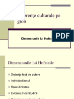 Hofstede - Dimensiuni Culturale