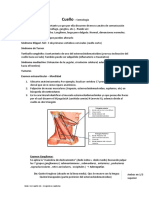 Cuello Semio