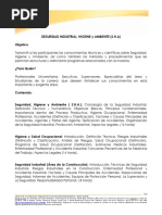 Programa Seguridad Higiene y Ambiente PDF